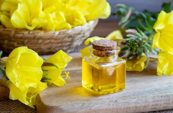 Evening Primrose Oil: Benefits and When to Avoid It